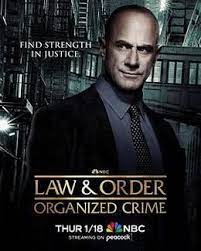 法律与秩序:组织犯罪第四季