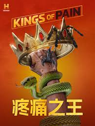 疼痛之王第二季封面图片