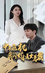 中年危机我闪婚美女总裁海报剧照