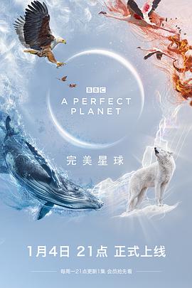 完美星球国语视频封面