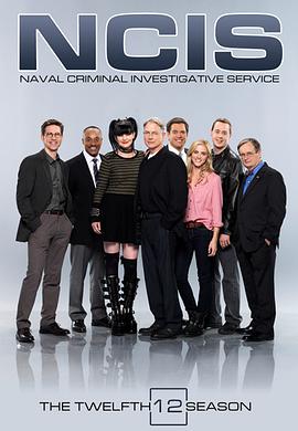 海军罪案调查处第十二季封面图片