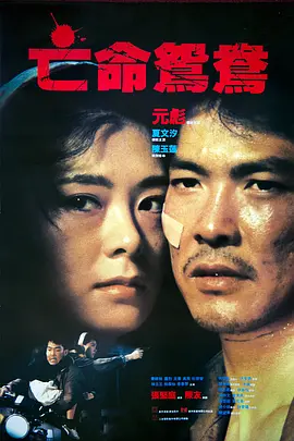 亡命鸳鸯 1988视频封面