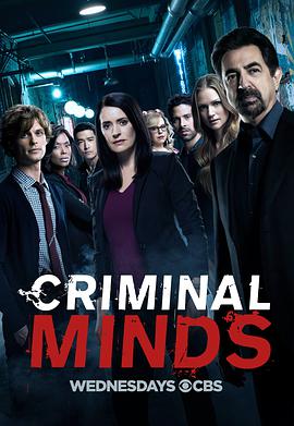犯罪心理第十三季封面图片