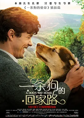 一条狗的回家路国语版封面图片