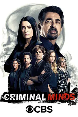 犯罪心理第十二季封面图片