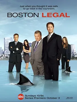 波士顿法律   第一季在线观看