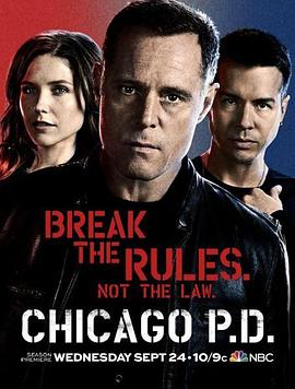 芝加哥警署 第二季的海报
