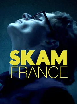 羞耻法国版第五季封面图片