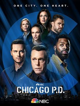 芝加哥警署第九季封面图片