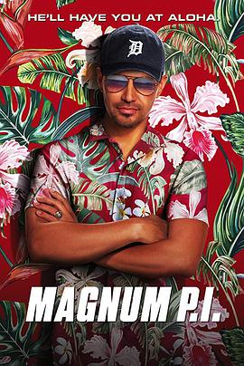 新夏威夷神探第二季封面图片