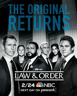 法律与秩序第二十一季封面图片