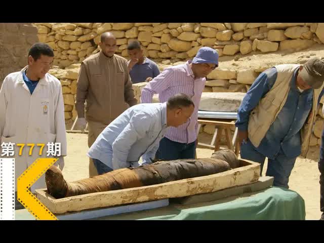 超大只猫咪木乃伊？实拍4000年前的《塞加拉陵墓》 看电影了没