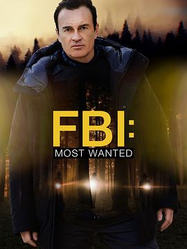 联邦调查局:通缉要犯第三季封面图片