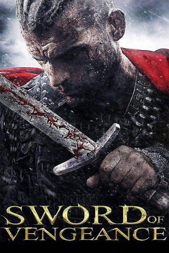 复仇之剑封面图片