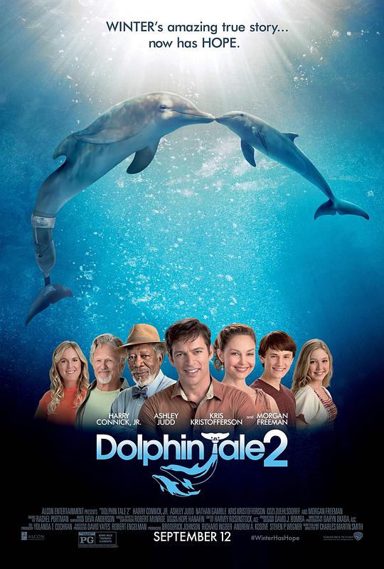 海豚的故事2的海报