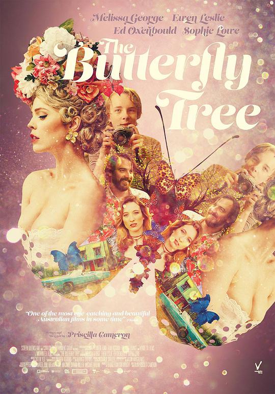 蝴蝶树的海报
