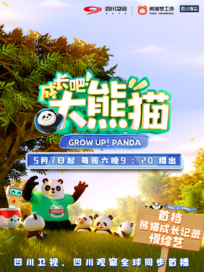 成长吧！大熊猫视频封面