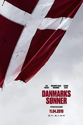 丹麦之子封面图片