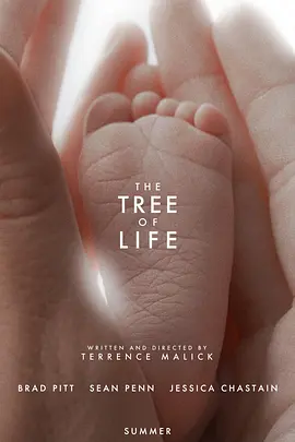 生命之树视频封面
