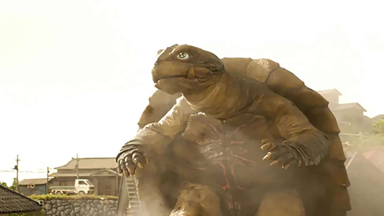 2006年日本军方捕获12米巨型大乌龟，它战力堪比哥斯拉，龟壳太硬人类武器不破防