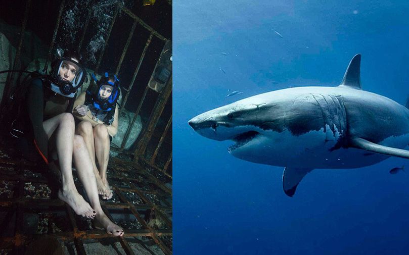 深海惊悚片《鲨海》：少女铁笼观鲨结果被困海底，鲨鱼环伺如何脱身？