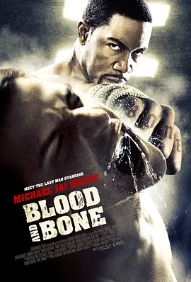 血与骨2009视频封面