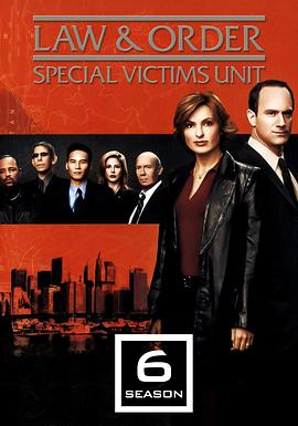 法律与秩序:特殊受害者第六季封面图片