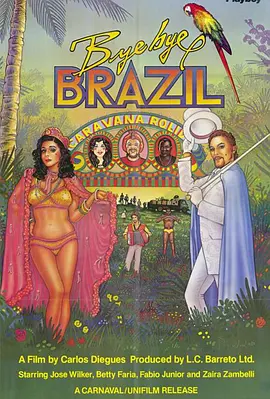 再见巴西的海报