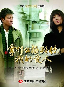 拿什么拯救你，我的爱人（2011）海报