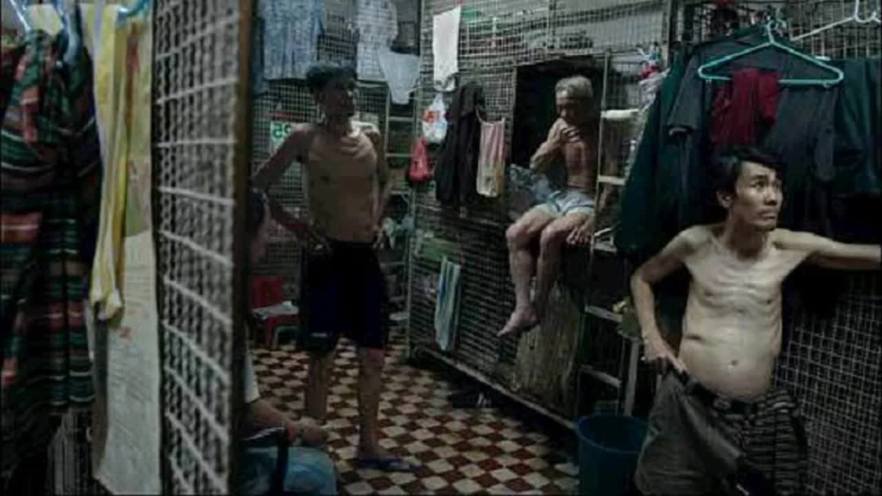 被遗忘的经典电影！被称作香港影史十佳，香港底层人民笼子里的辛酸生活《笼民》