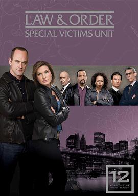 法律与秩序:特殊受害者第十二季封面图片