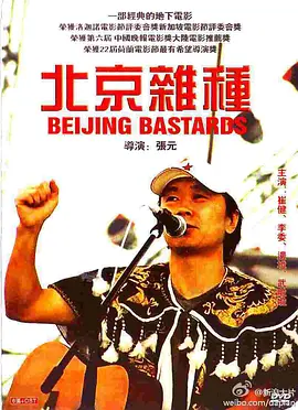 北京杂种封面图片
