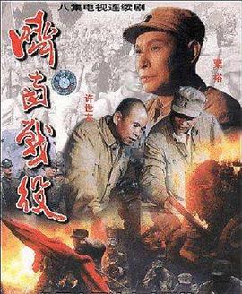 济南战役封面图片