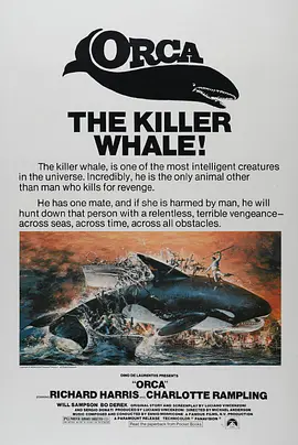杀人鲸视频封面