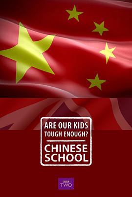 我们的孩子足够坚强吗？中式学校视频封面