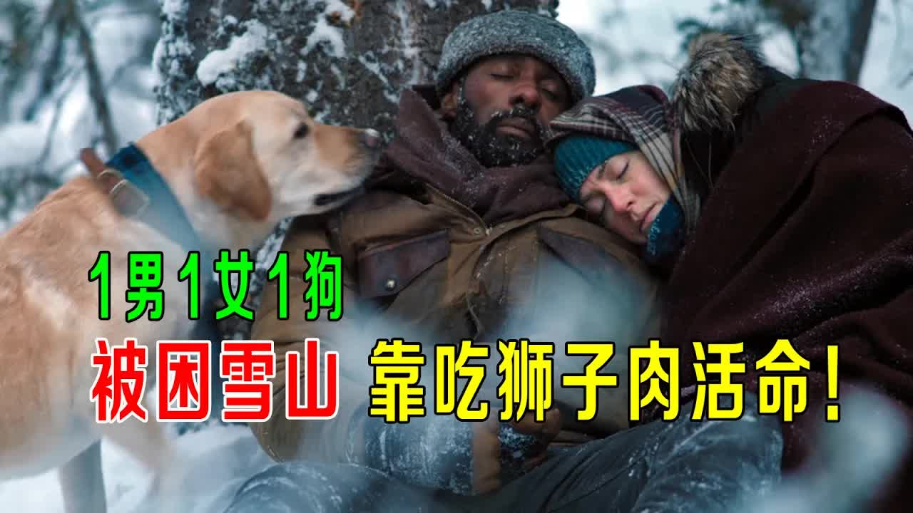 1男1女1狗被困雪山，靠吃狮子肉活命，雪山荒野求生，太难了！