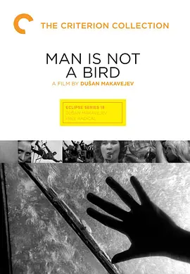 男人非鸟视频封面