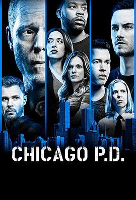芝加哥警署 第六季的海报