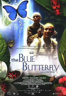 蓝蝴蝶的海报