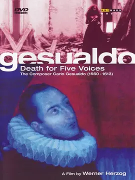 五种死亡的声音DVD版视频封面