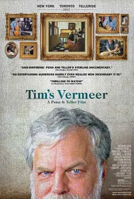 蒂姆的维米尔封面图片