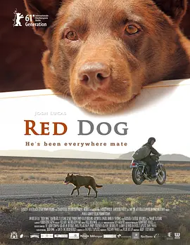 红犬历险记封面图片