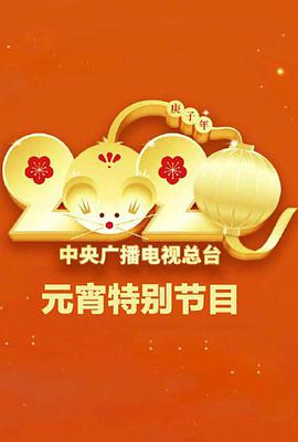 2020年中央广播电视总台元宵节特别节目封面图片