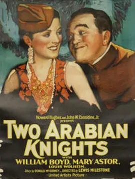 两个阿拉伯骑士封面图片