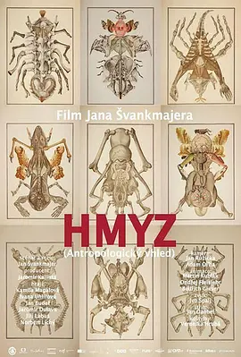 昆虫物语封面图片