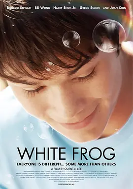 白色蛙的海报