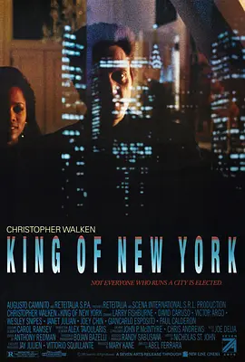 纽约王视频封面