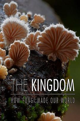 真菌王国的海报