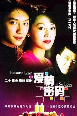 爱情密码（2001）海报