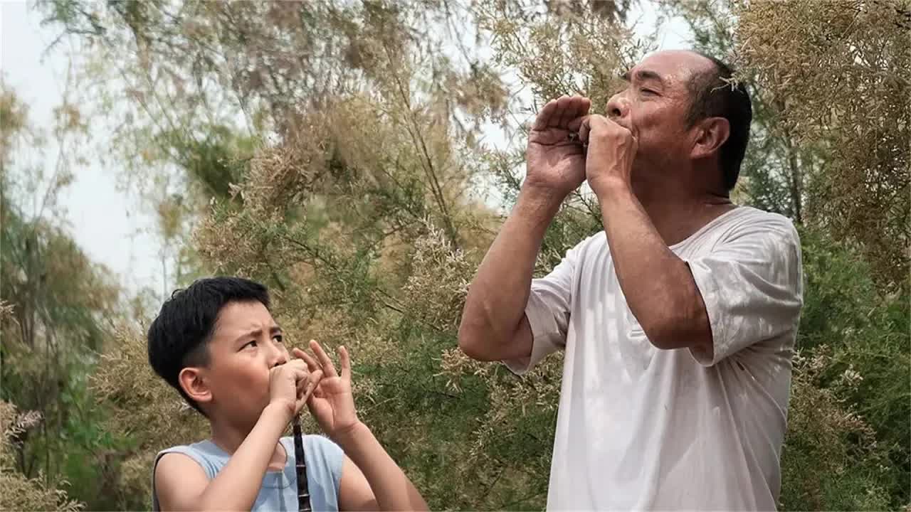 《百鸟朝凤》两代唢呐手的灵魂呐喊，折射出现在社会一个通病，不可多得良心之作!